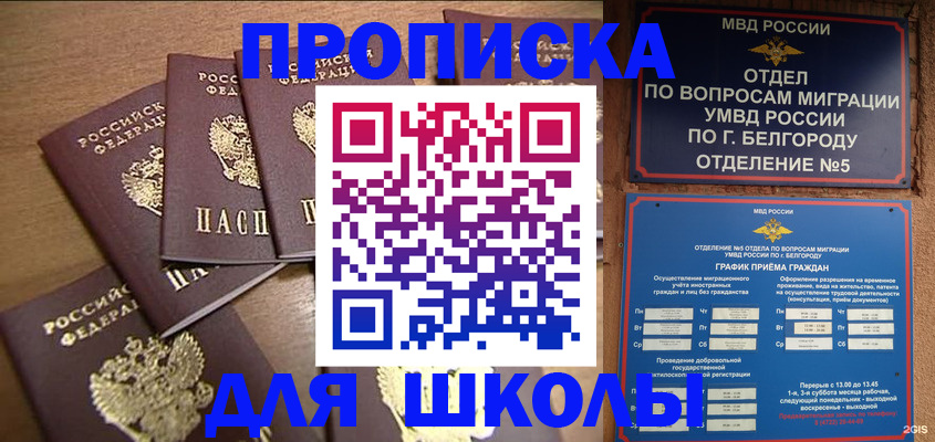 прописка гарантия в Тынде